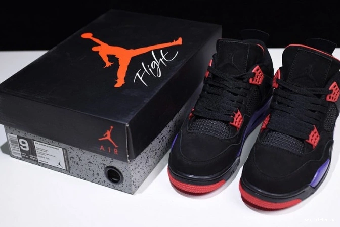Rep Onekick Jordan Raptors